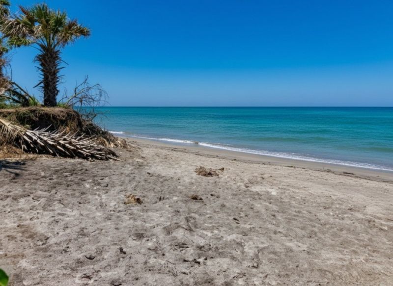 Best Siding Repair pros in Atlantic Beach, FL