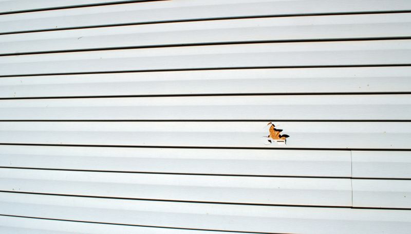 Vinyl Siding Repair Process - Image 2