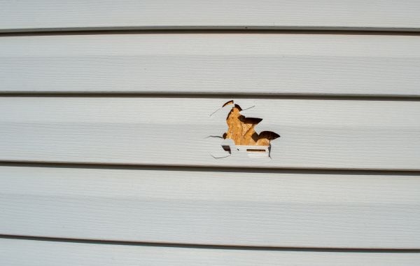 Cost of Siding Hole Repair in Jacksonville