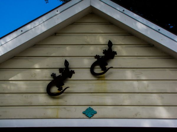 Cost of Shiplap Siding Installation in Jacksonville